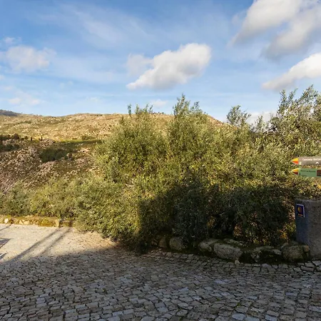 Cosy Remodeled In The Center * Fundão