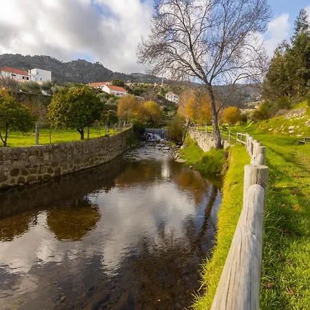 Cosy Remodeled In The Center דירה *