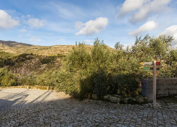 Cosy Remodeled In The Center * Фундан